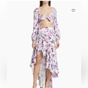 Cami NYC Leilana Floral Cropped Top & Skirt Set
